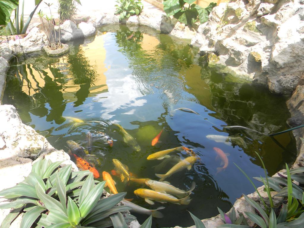 Hacienda Coba Bed & Breakfast Bagian luar foto